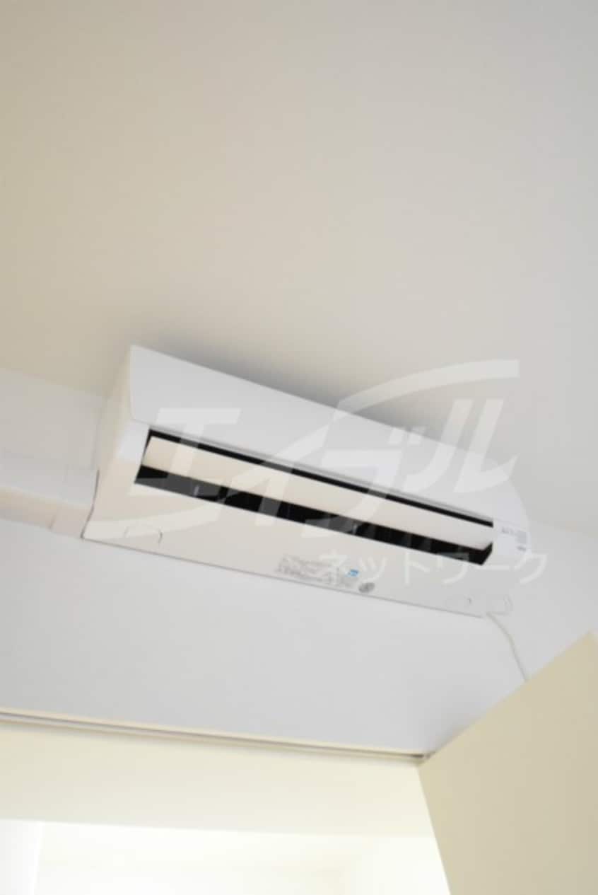  ハナミズキ福島