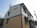 オリーブコート