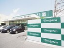 エバグリーン神楽店(スーパー)まで444m 近鉄大阪線（近畿）/大和高田駅 徒歩15分 5階 築24年
