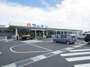 ホームセンターコーナン大和高田池尻店(電気量販店/ホームセンター)まで795m 近鉄大阪線（近畿）/大和高田駅 徒歩15分 5階 築24年