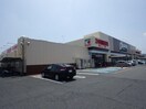 オークワ高田神楽店(スーパー)まで1091m 近鉄大阪線（近畿）/大和高田駅 徒歩10分 1階 築29年