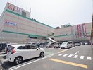 ライフ大和高田店(スーパー)まで37m 近鉄大阪線（近畿）/大和高田駅 徒歩10分 1-2階 築44年