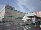 ライフ大和高田店(スーパー)まで372m 近鉄大阪線（近畿）/大和高田駅 徒歩2分 2階 築43年