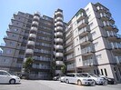 近鉄大阪線（近畿）/大和八木駅 徒歩19分 7階 築33年の外観