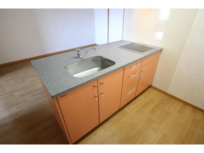  近鉄大阪線（近畿）/大和八木駅 徒歩5分 4階 築19年