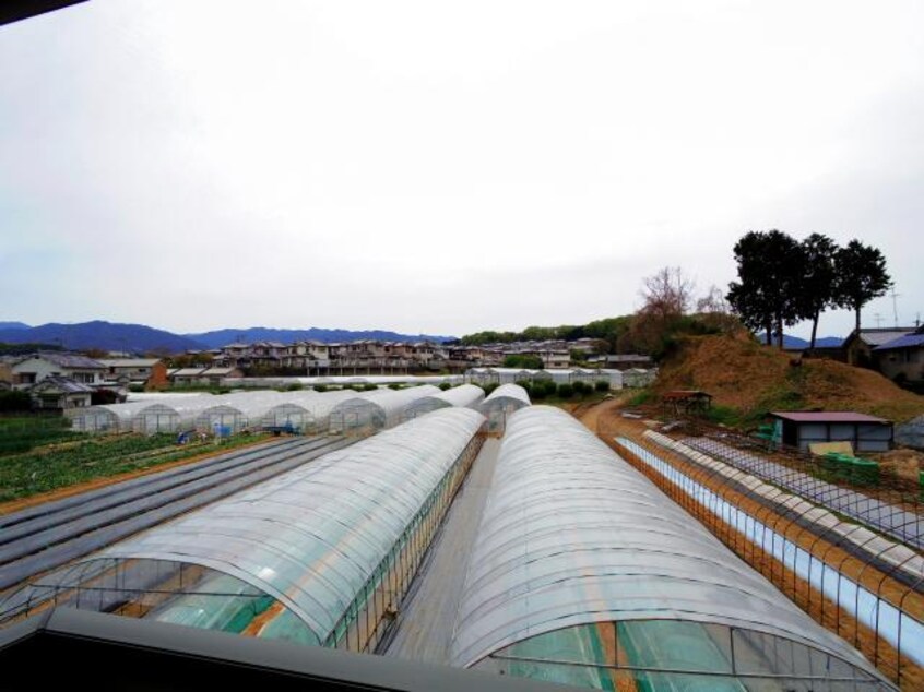  近鉄南大阪線/岡寺駅 徒歩4分 2階 築17年