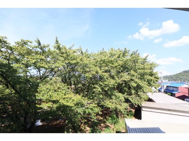  近鉄大阪線（近畿）/大和八木駅 徒歩8分 3階 築18年