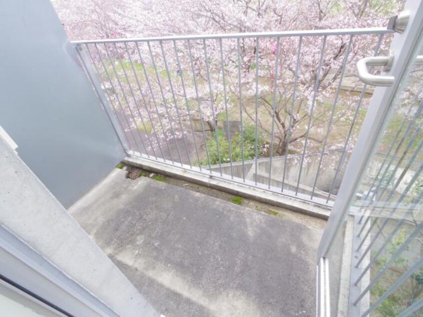  近鉄大阪線（近畿）/大和八木駅 徒歩8分 3-4階 築18年