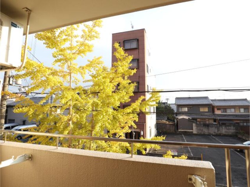  近鉄橿原線/畝傍御陵前駅 徒歩2分 2階 築35年