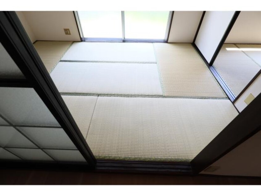  近鉄大阪線（近畿）/桜井駅 徒歩10分 1階 築37年