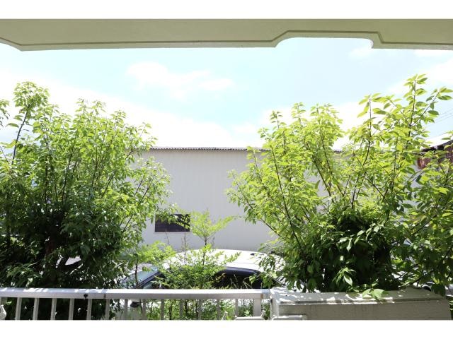  近鉄大阪線（近畿）/桜井駅 徒歩17分 1階 築34年