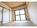  近鉄大阪線（近畿）/桜井駅 徒歩17分 1階 築34年