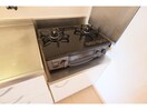  近鉄大阪線（近畿）/桜井駅 徒歩15分 1階 築19年