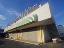 近鉄大阪線（近畿）/桜井駅 徒歩23分 2階 築33年の外観