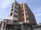 近鉄天理線/前栽駅 徒歩7分 5階 築20年の外観