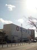 ホームセンターコーナン都島店(電気量販店/ホームセンター)まで339m※ホームセンターコーナン都島店 PARK HILLS 都島 Noble