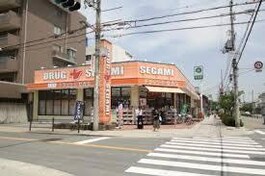 ドラッグセガミ内代店