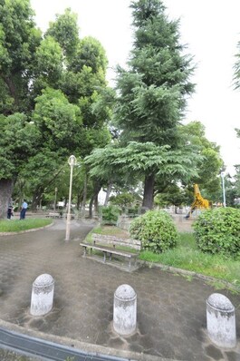 新森中央公園