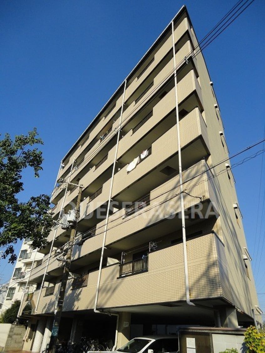  コーエイハイツ