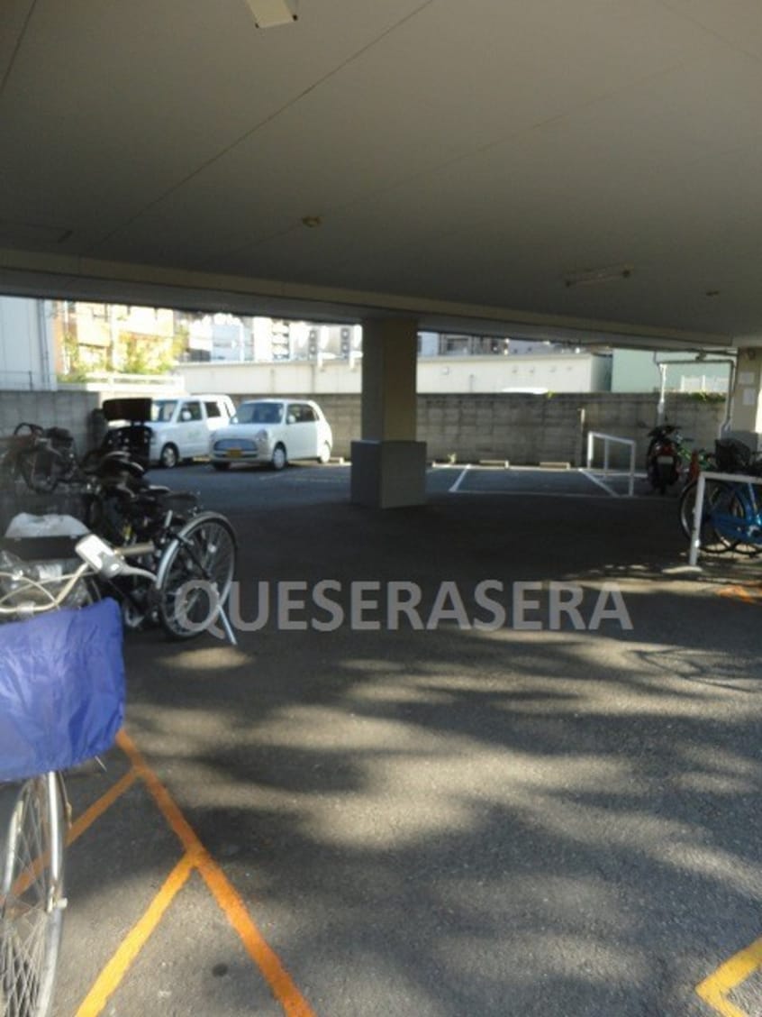  コーエイハイツ