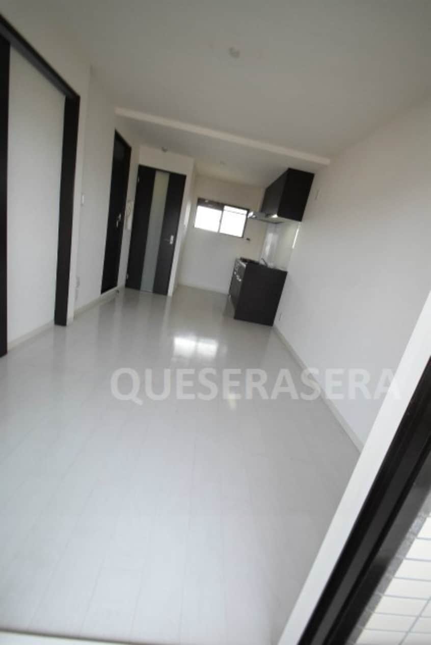  コーエイハイツ