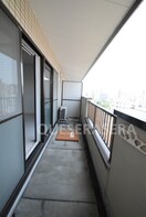  コーエイハイツ