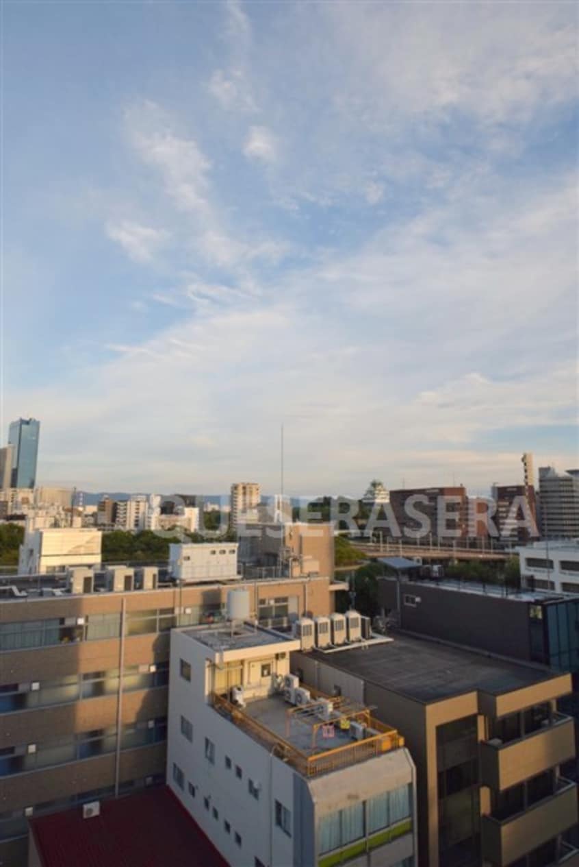  フェニックスコート