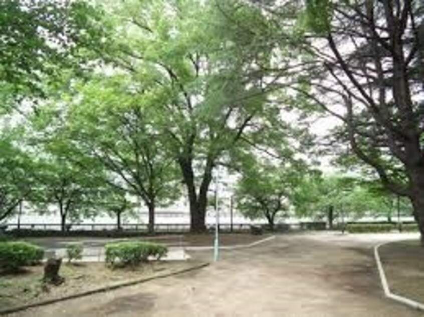 南天満公園(公園)まで448m※南天満公園 プレサンスNEO中之島公園