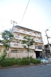 Eins-Nakamiya