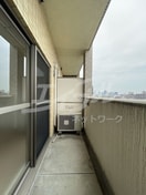  エレガンスレイヴ