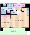 プリマクラッセ 1LDKの間取り