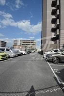  ヴェルデュール・カー