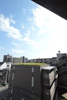  ヴェルデュール・カー