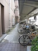  フロンティア21