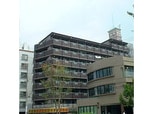 アンヘルム野田