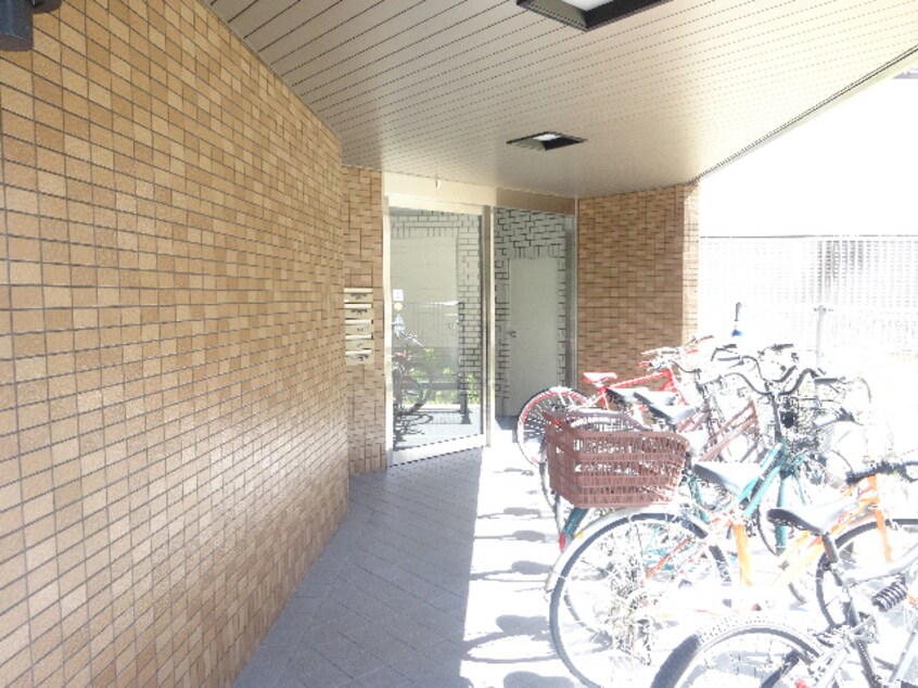  Mｓコート新福島