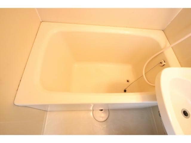  ルイシャトレ中之島