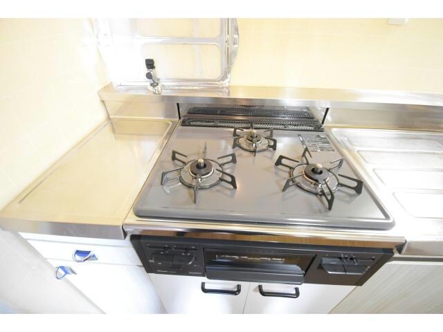  ルイシャトレ中之島