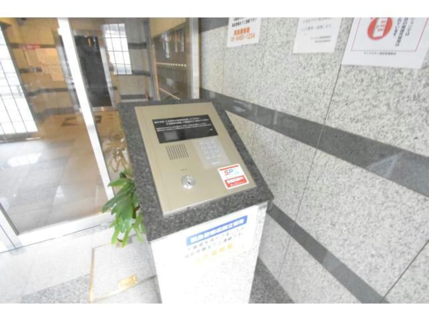  ディナスティ福島