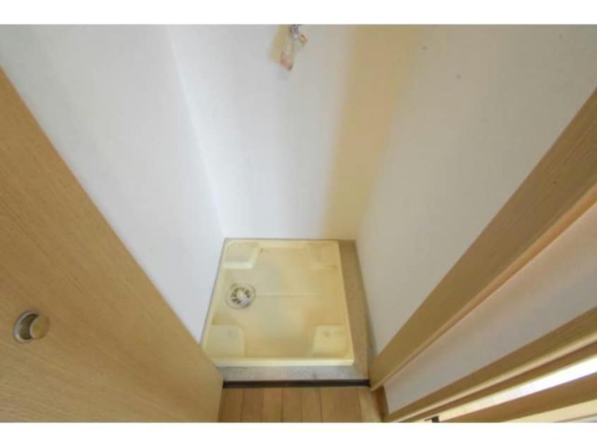  ディナスティ福島