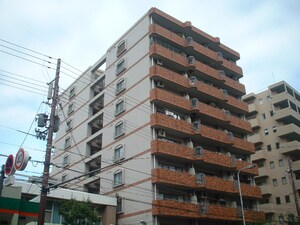 ミモレ堂島
