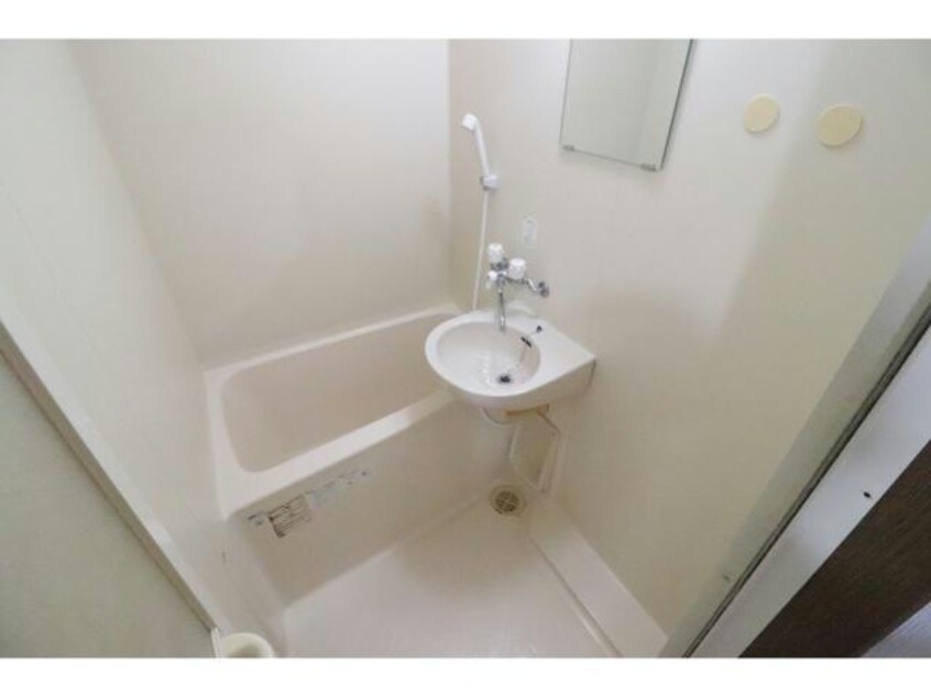  ジョリーフローラー