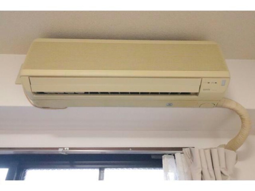  ジョリーフローラー