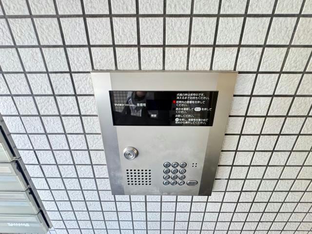  ﾌﾟﾗﾝﾄﾞｰﾙﾌｸｼﾏ