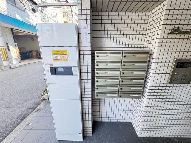  ﾌﾟﾗﾝﾄﾞｰﾙﾌｸｼﾏ