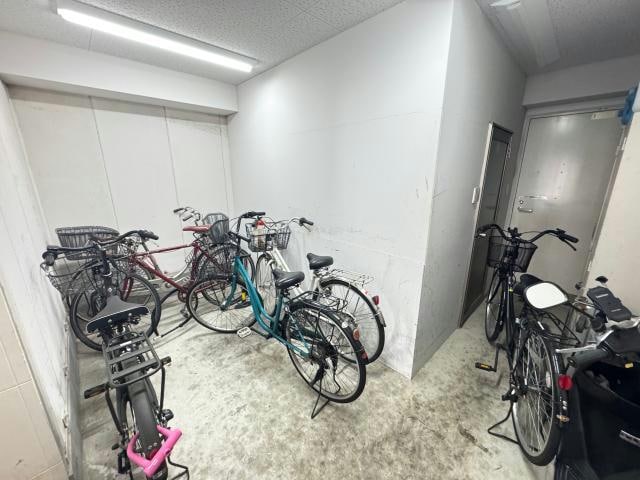  ﾌﾟﾗﾝﾄﾞｰﾙﾌｸｼﾏ