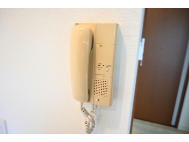  ﾌﾟﾗﾝﾄﾞｰﾙﾌｸｼﾏ