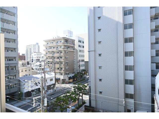  ﾌﾟﾗﾝﾄﾞｰﾙﾌｸｼﾏ