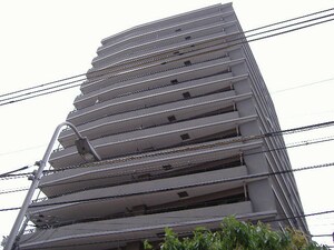 ペルル堂島