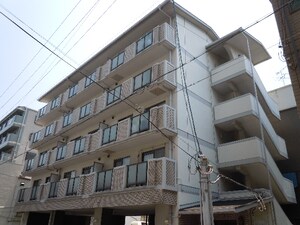 コニファ野里